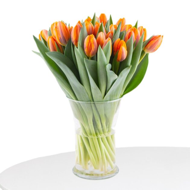 Lavish 30 Orange Tulip