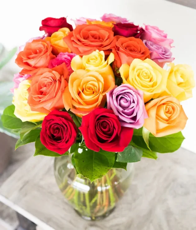 Vase with 18 Multicolored Roses