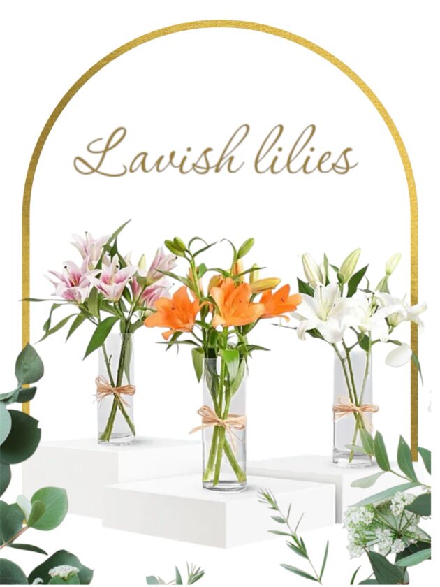 Lilies Beauty Trio