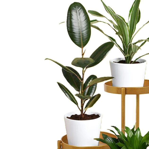 Love of Greens Plant Stand - Image 3