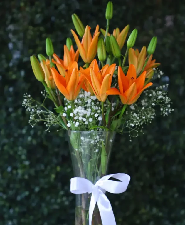 Orange Lily In Glass Vase