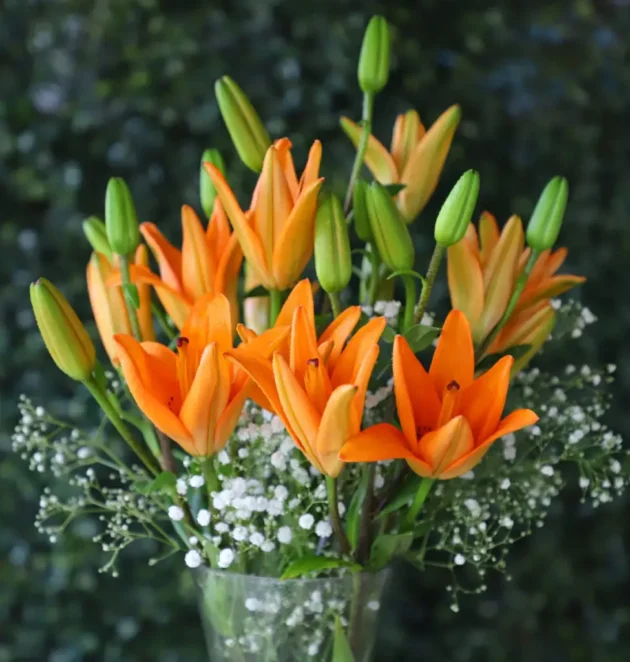 Orange Lily In Glass Vase - Image 2