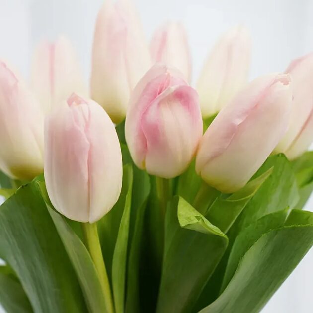 10 Tulips In a Vase - Image 2