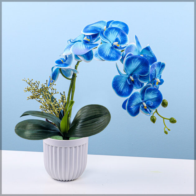 Artificial Orchid Flowers in Blue Color For Him
