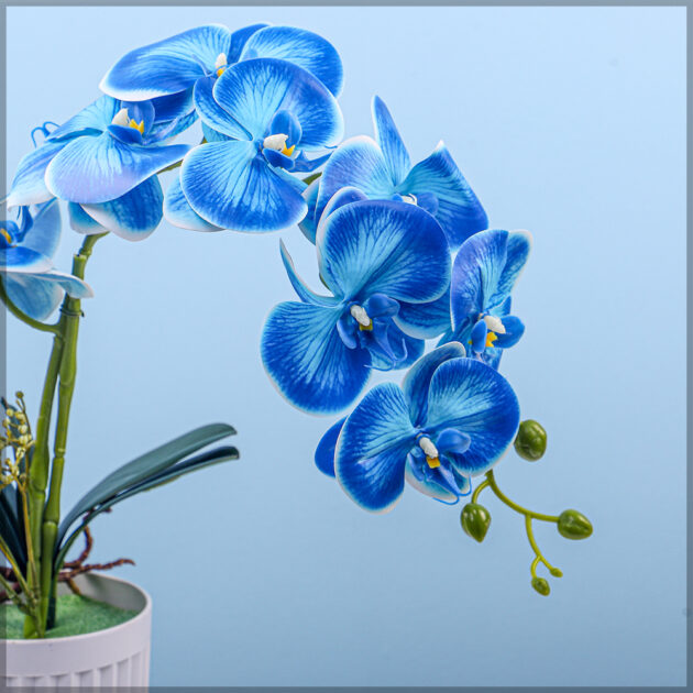 Artificial Orchid Flowers in Blue Color For Him - Image 2
